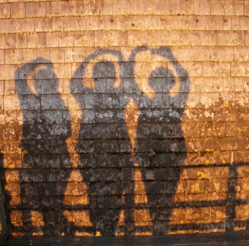 Just as much fun with our backs to the sun.