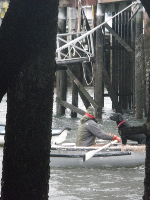 You never know when a man and his dog will row by!