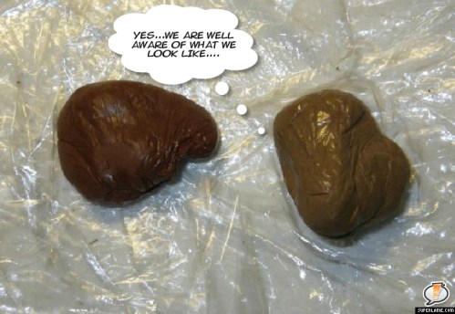 Studio shots of work in progress are just not glamour shots!